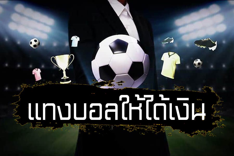 แทงบอลได้กำไรดี